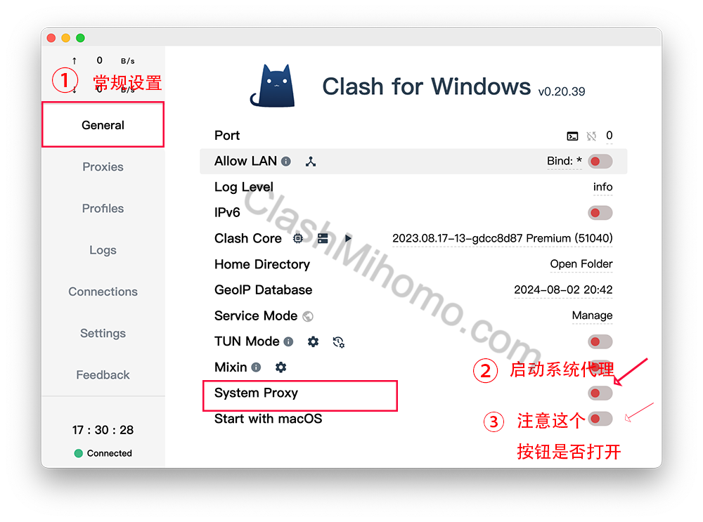 clash for Windows软件如何启动系统代理教程